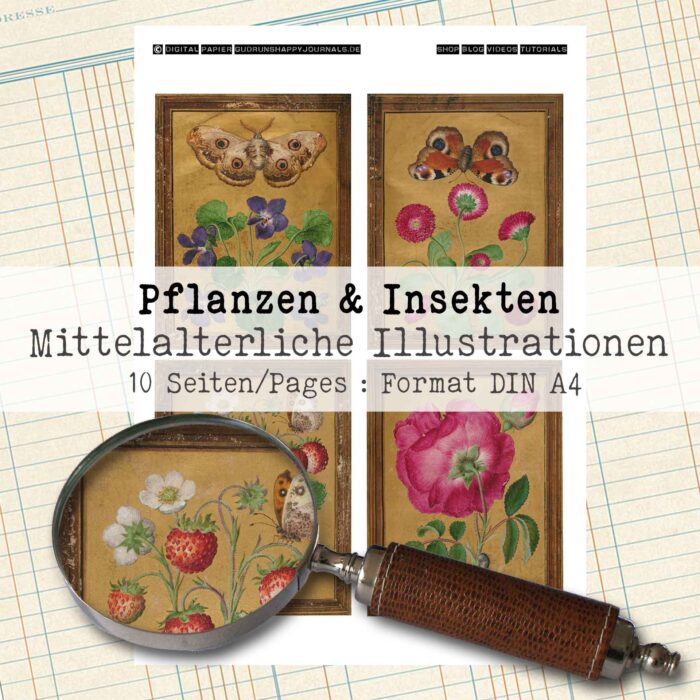 Mittelalterliche Pflanzen & Insekten [Digital] – Bild 2