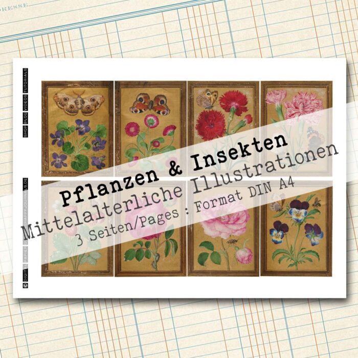 Mittelalterliche Pflanzen & Insekten [Digital] – Bild 5