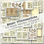 Mappe mit antiken Pflanzenstichen in 2 Größen, 25 Seiten [Digital]