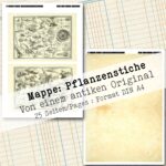Mappe mit antiken Pflanzenstichen in 2 Größen, 25 Seiten [Digital] – Bild 11