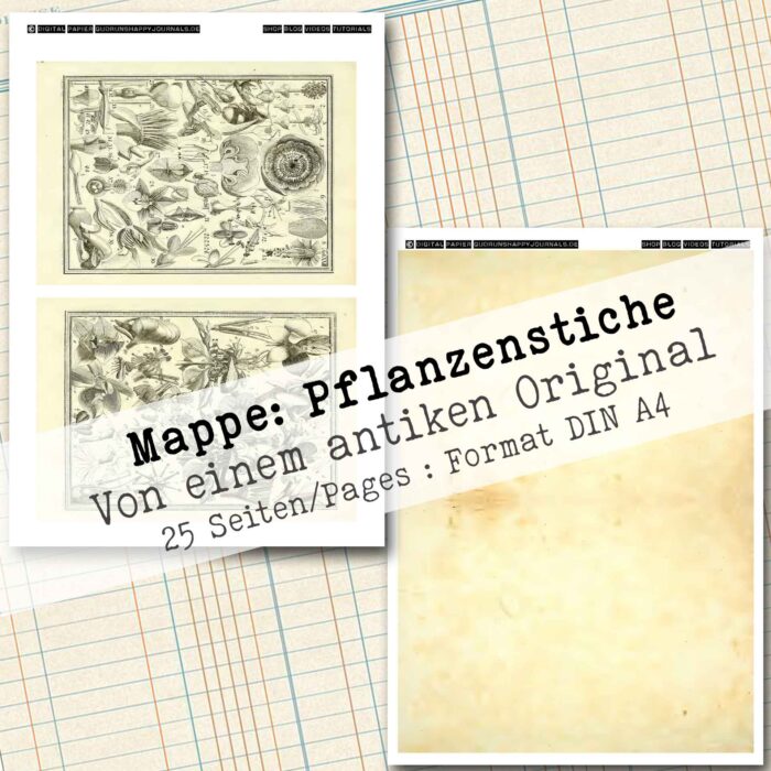Mappe mit antiken Pflanzenstichen in 2 Größen, 25 Seiten [Digital] – Bild 11