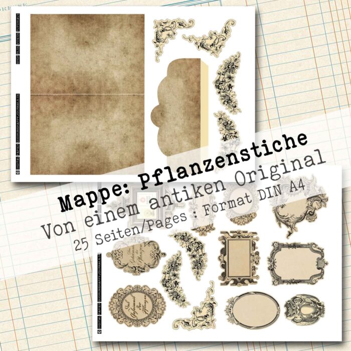 Antike Pflanzenstiche – Bild 5