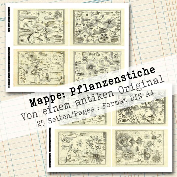 Mappe mit antiken Pflanzenstichen in 2 Größen, 25 Seiten [Digital] – Bild 8