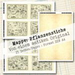 Mappe mit antiken Pflanzenstichen in 2 Größen, 25 Seiten [Digital] – Bild 6