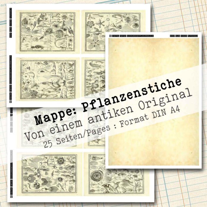 Mappe mit antiken Pflanzenstichen in 2 Größen, 25 Seiten [Digital] – Bild 6