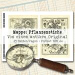 Antike Pflanzenstiche – Bild 2