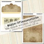 Mappe mit antiken Pflanzenstichen in 2 Größen, 25 Seiten [Digital] – Bild 9