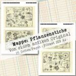 Antike Pflanzenstiche – Bild 4