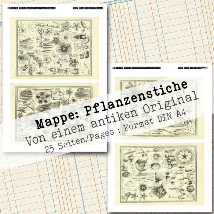 Antike Pflanzenstiche – Bild 4