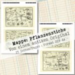 Mappe mit antiken Pflanzenstichen in 2 Größen, 25 Seiten [Digital] – Bild 15