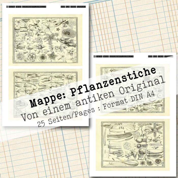 Mappe mit antiken Pflanzenstichen in 2 Größen, 25 Seiten [Digital] – Bild 15
