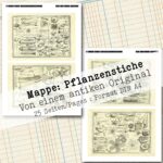 Mappe mit antiken Pflanzenstichen in 2 Größen, 25 Seiten [Digital] – Bild 14