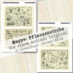 Mappe mit antiken Pflanzenstichen in 2 Größen, 25 Seiten [Digital] – Bild 13