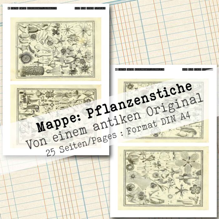 Mappe mit antiken Pflanzenstichen in 2 Größen, 25 Seiten [Digital] – Bild 13