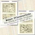 Mappe mit antiken Pflanzenstichen in 2 Größen, 25 Seiten [Digital] – Bild 12