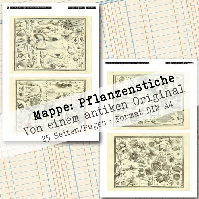 Mappe mit antiken Pflanzenstichen in 2 Größen, 25 Seiten [Digital] – Bild 12