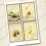 Insekten Journaling Karten Set, 4 Seiten [Digital] – Bild 2