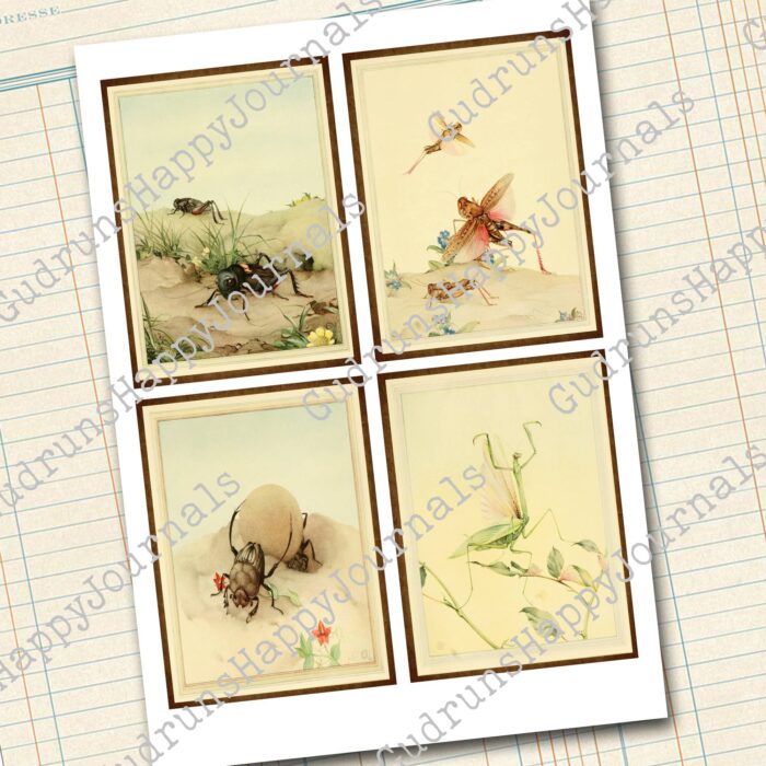 Insekten Journaling Karten Set, 4 Seiten [Digital] – Bild 2