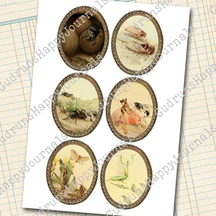 Insekten Journaling Karten Set, 4 Seiten [Digital] – Bild 3