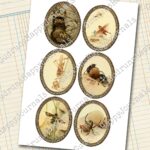 Insekten Journaling Karten Set, 4 Seiten [Digital] – Bild 4