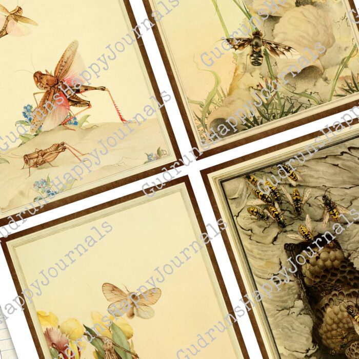 Insekten Journaling Karten Set, 4 Seiten [Digital] – Bild 5