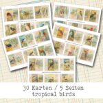 Tropische Vögel, Vintage Zigarettenkarten, farbige Lithografien, 5 Seiten [Digital]