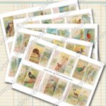 Tropische Vögel, Vintage Zigarettenkarten, farbige Lithografien, 5 Seiten [Digital] – Bild 2