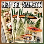 Herbstwald Pilze