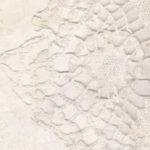 Freebie! Spitzendeckchen Hintergrund [Digital]